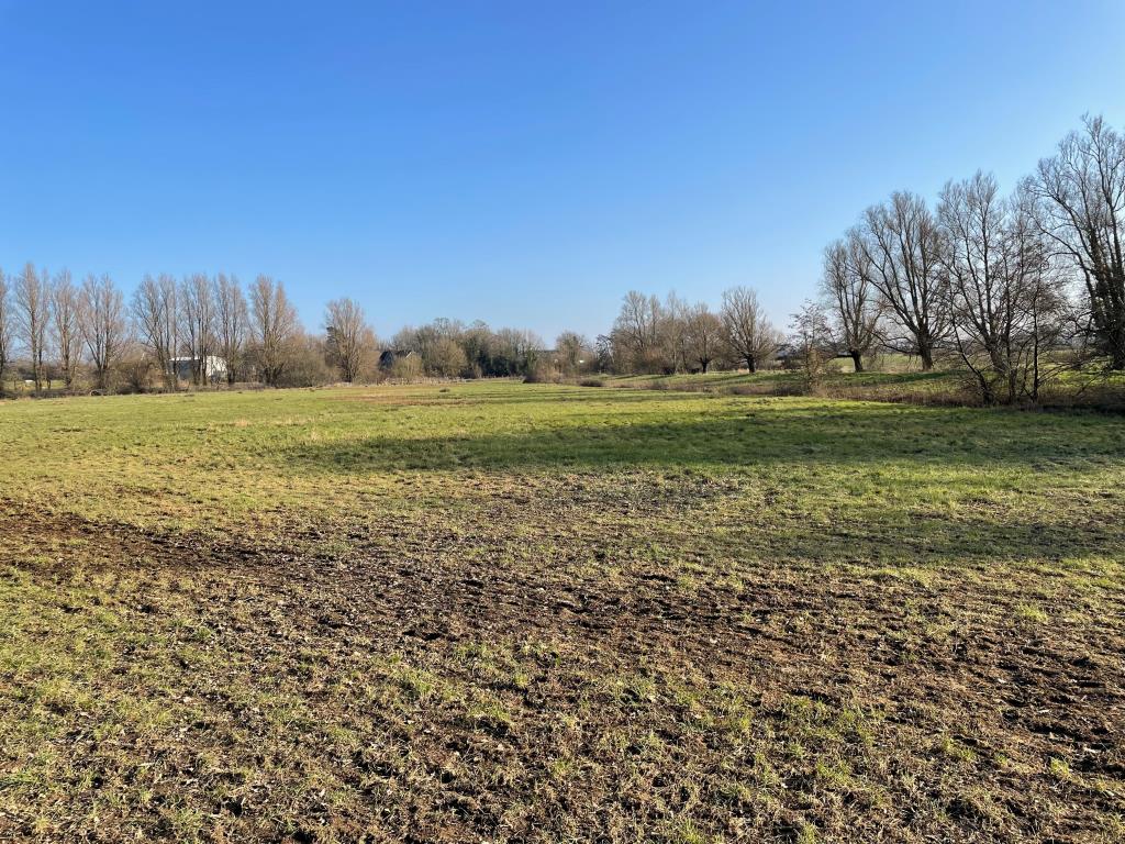 Lot: 137 - APPROXIMATELY EIGHT ACRES OF LAND WITH RIVER FRONTAGE - 